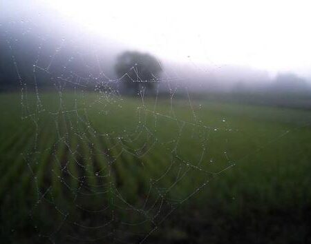 1c279c24-ecb0-4a0d-b8fa-d4396fafcf3a